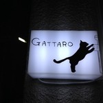Gattaro - 正面ライト