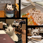 Regina Resort Karuizawa Mikage Yosui