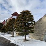 ニッカウヰスキー 余市蒸溜所 - 