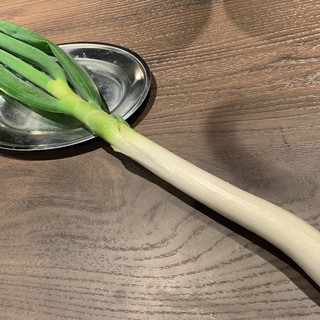 Fresh vegetables are delivered daily from our own fields. The specialty is one grilled green onion.