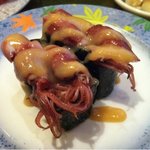 金沢まいもん寿司 - 春物  ホタルイカ