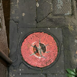 やさいのShot BAR あぐりこ - 