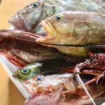 Ma Cuisine - 徳島県伊島・宍喰・鳴門・折野漁港にあがる海の幸を。