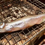 めしの助 - 炭焼き
      ・本ししゃも(雄)
      ※コースと別オーダー