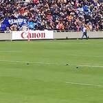 秩父宮ラグビー場 売店 - ハーフA付近の点々はこりゃ多分ハトです。