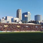 秩父宮ラグビー場 売店 - なんかこんだけ生物が集まってるのを見るのも気持ち悪い。