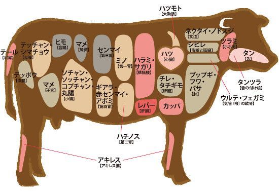 料理写真 2ページ目 たれ焼肉 金肉屋 渋谷店 神泉 焼肉 食べログ 料理写真 2ページ目 たれ焼肉 金肉屋 渋谷店 神泉 焼肉 食べログ