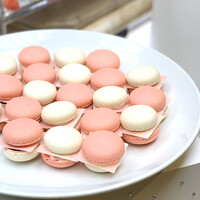 スプレンディード - 