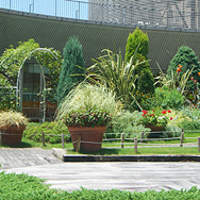 TOOTH TOOTH GARDEN RESTAURANT - 屋上庭園２.jpg