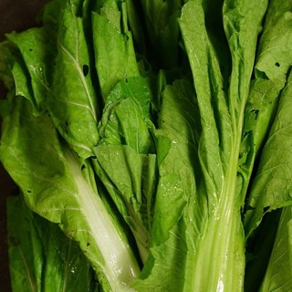 全国の生産者から直接取り寄せる厳選した食材