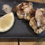 サンダーバード - フリソデ塩焼き