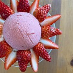 クラブハリエ ジュブリルタン - 