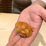 鮨 さかい - 馬糞海胆