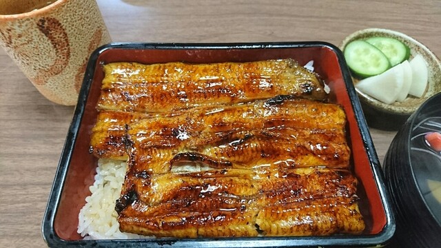 うな辰 亀有 うなぎ ネット予約可 食べログ うな辰 亀有 うなぎ ネット予約可 食べログ