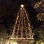 エメ・ヴィベール - ツリー