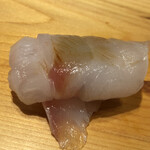 すが弥 - ハタ。丹後産の8kg。十日寝かせてクリーミーな脂に変化。中に潜むのは塩昆布と木の芽。煮切り醤油と山葵でいただきます