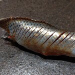 寿し おおはた - 小鰭