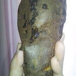 ドン・キホーテ  - 料理写真:中身の焼き芋〜大きめ