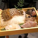 Faiya Ho Ru Yonsen - 魚介類　　車海老、蝦蛄、黒ムツ、ハマグリ、白烏賊