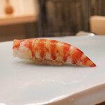 鮨 なんば - 車海老