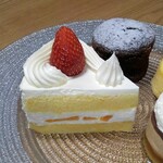 Tamashimaya - ショートケーキ