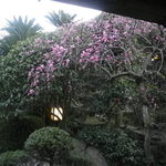 うどん本陣 山田家 - 