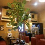 サウンド・マーシー - 店内①