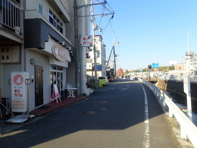 Hinata Bokko photo 4