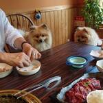 焼肉 黒柳 - ワンコメニューからささみ焼き待ち。椅子には敷物必須です。手前は和牛カルビ焼き肉ランチ