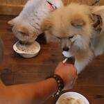 焼肉 黒柳 - 前回訪問時のささみ焼きに食らいつく画