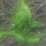 プレゼンテ スギ - 