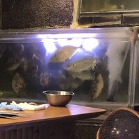 いけす無門 新宿 - 