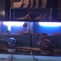 いけす無門 新宿 - 