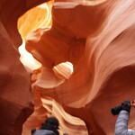 McDonald’s - アンテロープ