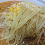 ラーメンハウス蘭蘭 - 辛みそラーメンの麺、アップ。