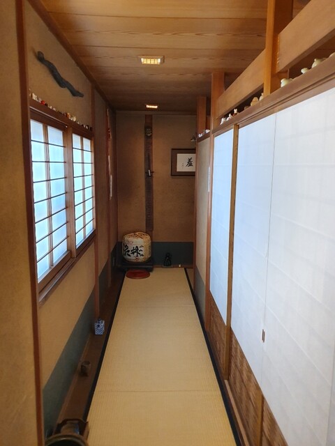 Oryori Hayashi photo 4