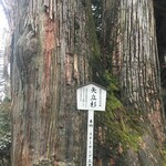 Misogiya - 矢立杉（樹齢およそ600年）
                        参道途中にあります。