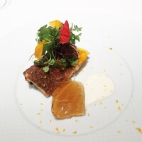 ロドラント ミノルナキジン - 