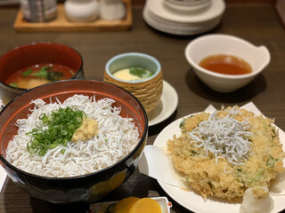 まるごと駿河湾 - 