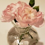 ラ ヴィオレッタ - 