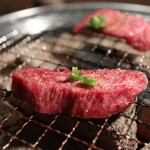 Wagyuusumi Biyakiniku Bisutoro Tobigyuu - 