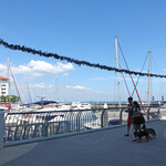 HEALY MAC'S Irish Bar & Restaurant - 犬連れでお散歩 OK〜♬　