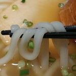 久留米うどん - ぽにょぽにょ麺