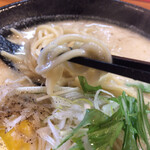 風味絶佳 麺屋まるきた商店 - 