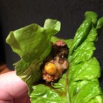 焼き鳥 とりら - 背肝