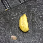 ルンルアン お菓子処 - ライスの中のカルダモン