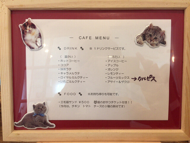 メニュー写真 保護猫カフェ Aelu 矢作橋 その他 食べログ メニュー写真 保護猫カフェ Aelu 矢作橋 その他 食べログ