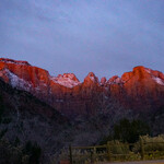 SpringHill Suites by Marriott - 