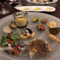 オッジ ダルマット 西麻布店 - 