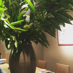 NIKUSYO taku ohira - 